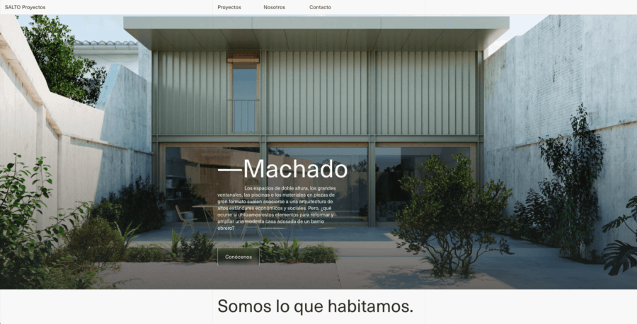 saltoproyectos