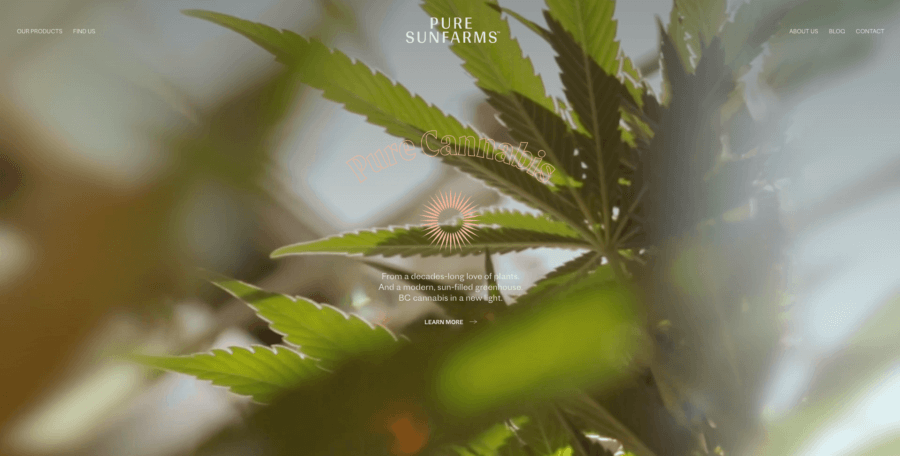puresunfarms