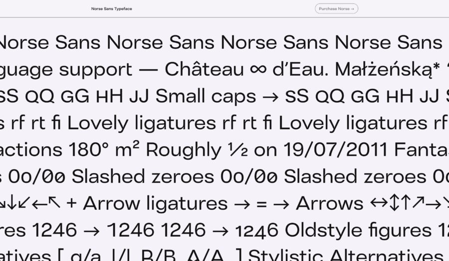 nrse