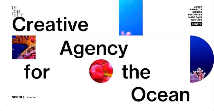 theoceanagency