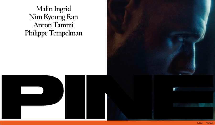 pine