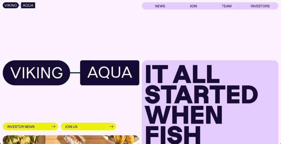 vikingaqua