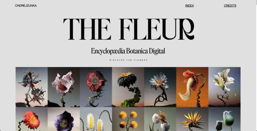 ondrejzunka-the-fleur