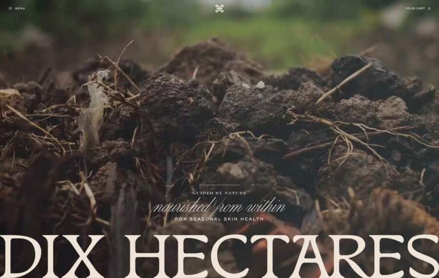 dixhectares