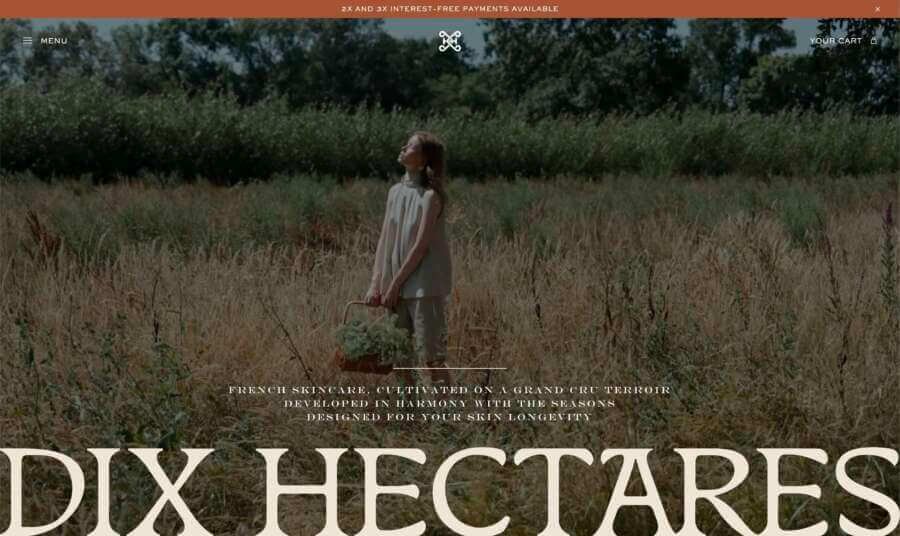 dixhectares