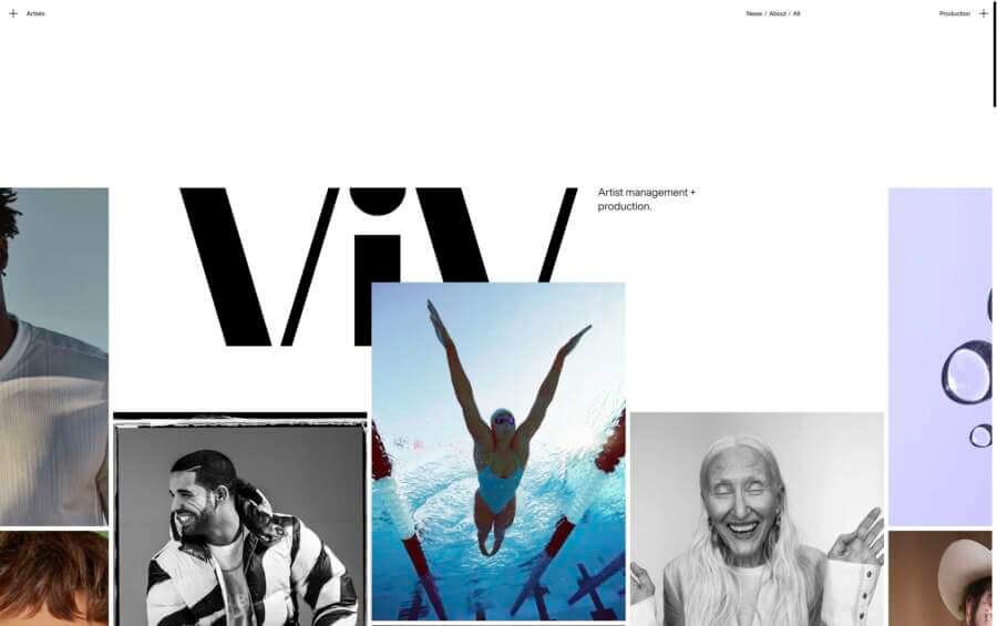 vivmgmt